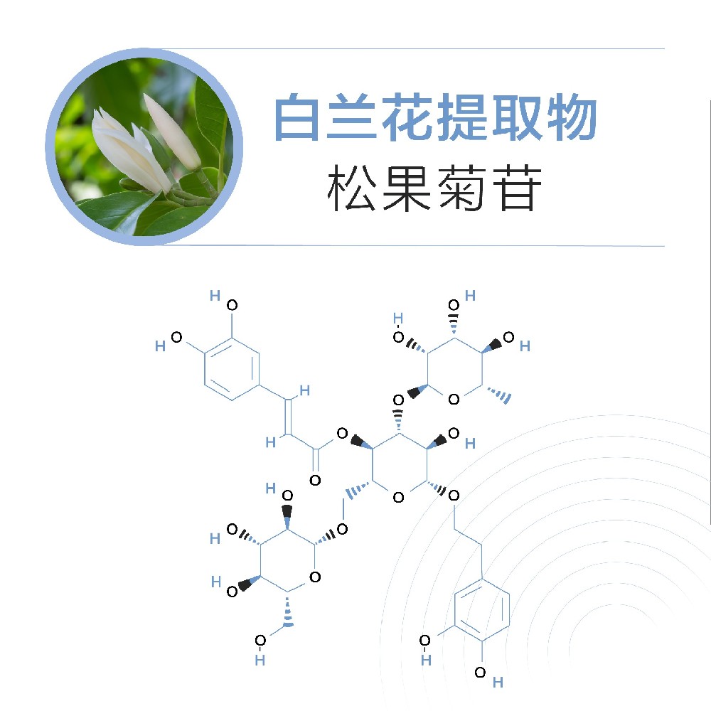 松果菊苷
